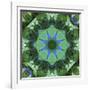 Colorful kaleidoscope.-Anna Miller-Framed Photographic Print