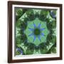 Colorful kaleidoscope.-Anna Miller-Framed Photographic Print