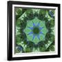 Colorful kaleidoscope.-Anna Miller-Framed Photographic Print