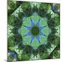 Colorful kaleidoscope.-Anna Miller-Mounted Photographic Print