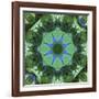 Colorful kaleidoscope.-Anna Miller-Framed Photographic Print