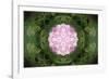 Colorful kaleidoscope.-Anna Miller-Framed Photographic Print