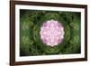 Colorful kaleidoscope.-Anna Miller-Framed Photographic Print