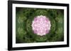 Colorful kaleidoscope.-Anna Miller-Framed Photographic Print