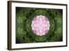 Colorful kaleidoscope.-Anna Miller-Framed Photographic Print