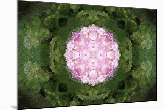 Colorful kaleidoscope.-Anna Miller-Mounted Photographic Print