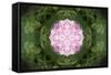 Colorful kaleidoscope.-Anna Miller-Framed Stretched Canvas