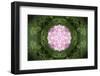 Colorful kaleidoscope.-Anna Miller-Framed Photographic Print