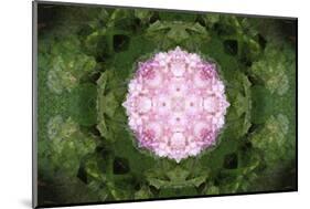 Colorful kaleidoscope.-Anna Miller-Mounted Photographic Print