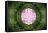 Colorful kaleidoscope.-Anna Miller-Framed Stretched Canvas