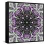 Colorful kaleidoscope.-Anna Miller-Framed Stretched Canvas