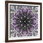 Colorful kaleidoscope.-Anna Miller-Framed Photographic Print