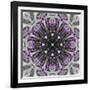 Colorful kaleidoscope.-Anna Miller-Framed Photographic Print