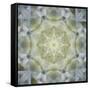 Colorful kaleidoscope.-Anna Miller-Framed Stretched Canvas