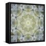 Colorful kaleidoscope.-Anna Miller-Framed Stretched Canvas