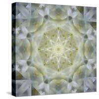 Colorful kaleidoscope.-Anna Miller-Stretched Canvas