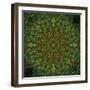 Colorful kaleidoscope.-Anna Miller-Framed Photographic Print