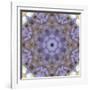 Colorful kaleidoscope.-Anna Miller-Framed Photographic Print