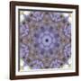 Colorful kaleidoscope.-Anna Miller-Framed Photographic Print