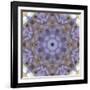 Colorful kaleidoscope.-Anna Miller-Framed Photographic Print