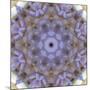 Colorful kaleidoscope.-Anna Miller-Mounted Photographic Print