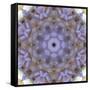 Colorful kaleidoscope.-Anna Miller-Framed Stretched Canvas