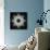 Colorful kaleidoscope.-Anna Miller-Photographic Print displayed on a wall
