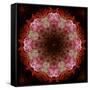 Colorful kaleidoscope.-Anna Miller-Framed Stretched Canvas