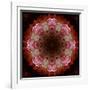 Colorful kaleidoscope.-Anna Miller-Framed Photographic Print