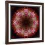 Colorful kaleidoscope.-Anna Miller-Framed Photographic Print