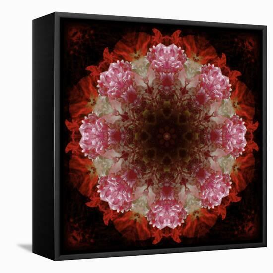 Colorful kaleidoscope.-Anna Miller-Framed Stretched Canvas