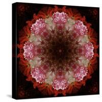 Colorful kaleidoscope.-Anna Miller-Stretched Canvas