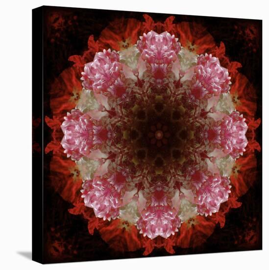 Colorful kaleidoscope.-Anna Miller-Stretched Canvas