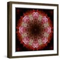 Colorful kaleidoscope.-Anna Miller-Framed Photographic Print