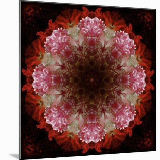 Colorful kaleidoscope.-Anna Miller-Mounted Photographic Print