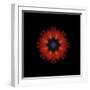 Colorful kaleidoscope.-Anna Miller-Framed Photographic Print