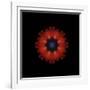 Colorful kaleidoscope.-Anna Miller-Framed Photographic Print