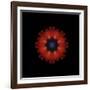 Colorful kaleidoscope.-Anna Miller-Framed Photographic Print