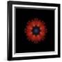 Colorful kaleidoscope.-Anna Miller-Framed Photographic Print