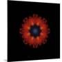 Colorful kaleidoscope.-Anna Miller-Mounted Photographic Print