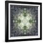 Colorful kaleidoscope.-Anna Miller-Framed Photographic Print