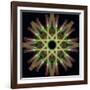 Colorful kaleidoscope.-Anna Miller-Framed Photographic Print