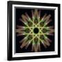 Colorful kaleidoscope.-Anna Miller-Framed Photographic Print