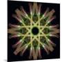 Colorful kaleidoscope.-Anna Miller-Mounted Photographic Print