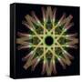 Colorful kaleidoscope.-Anna Miller-Framed Stretched Canvas