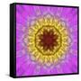 Colorful kaleidoscope.-Anna Miller-Framed Stretched Canvas