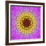 Colorful kaleidoscope.-Anna Miller-Framed Photographic Print