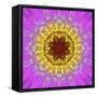 Colorful kaleidoscope.-Anna Miller-Framed Stretched Canvas