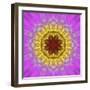 Colorful kaleidoscope.-Anna Miller-Framed Photographic Print