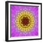 Colorful kaleidoscope.-Anna Miller-Framed Photographic Print